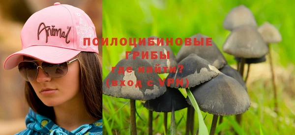 стафф Липки