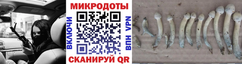 где продают   Рузаевка  Галлюциногенные грибы прущие грибы 