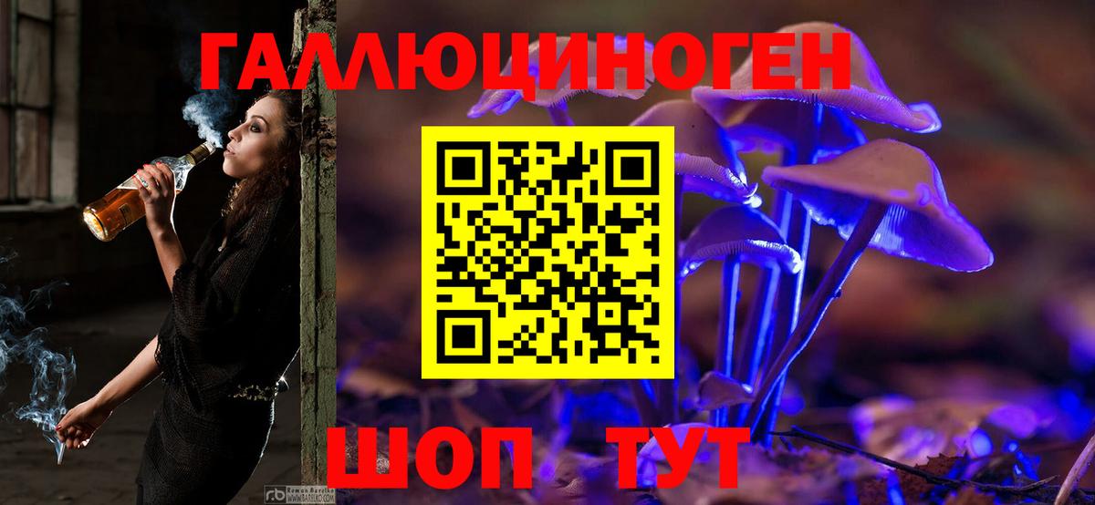 Галлюциногенные грибы GOLDEN TEACHER Рузаевка